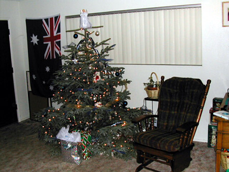 Christmas 2001 - Our Christmas Tree