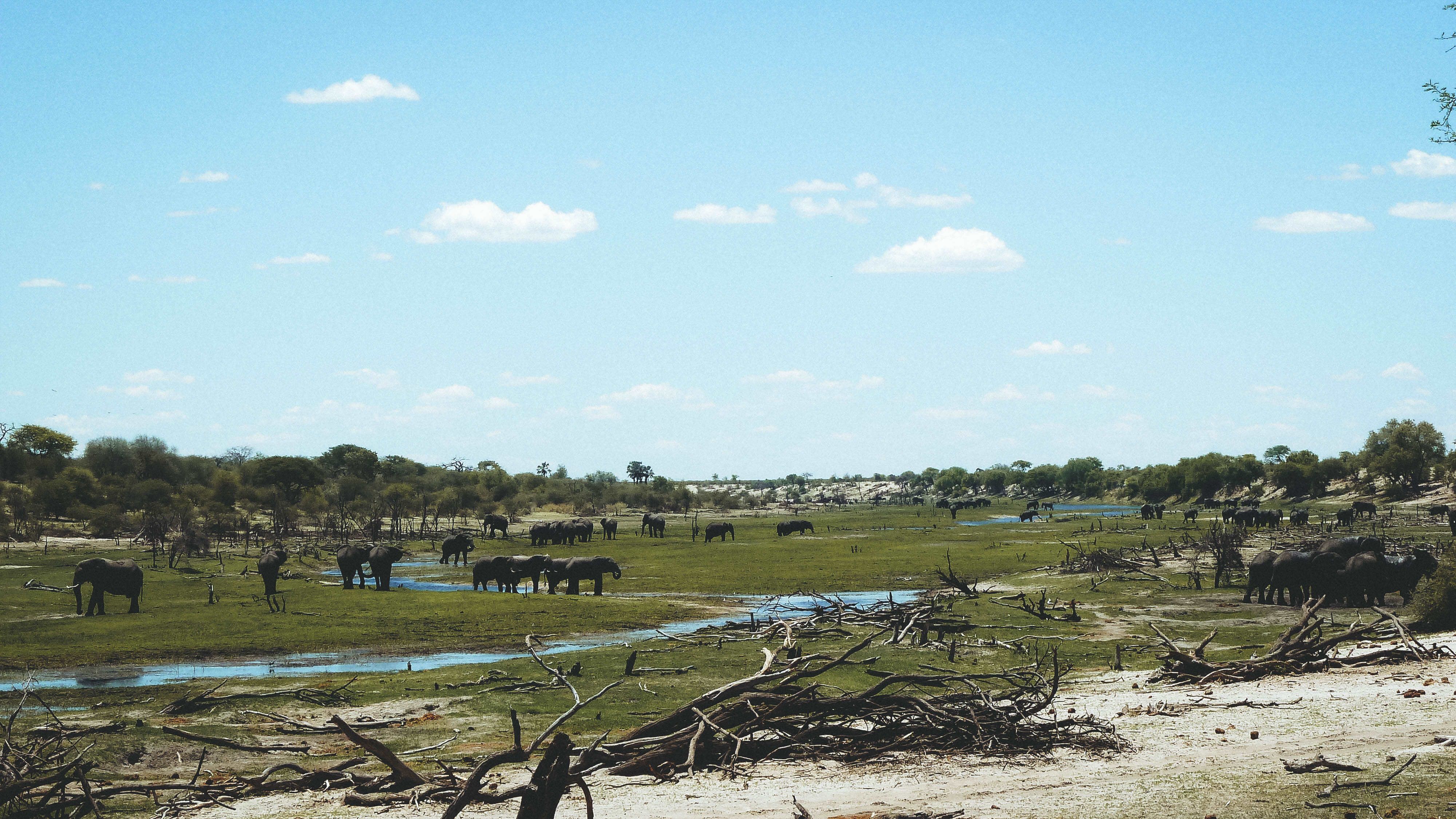 Touring Botswana