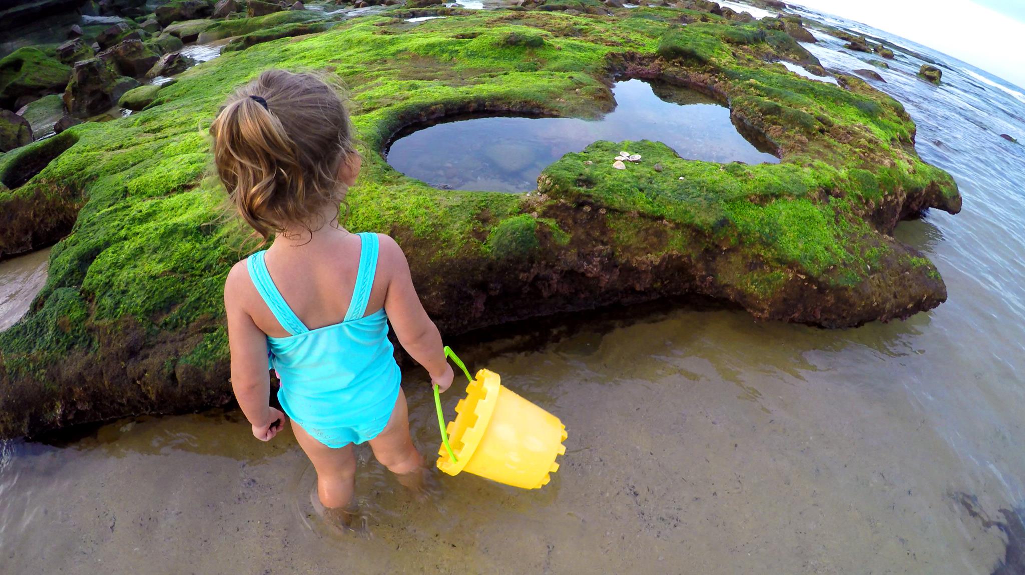 Hunting for sea shells by the sea shore