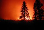 Durango Fires 2002