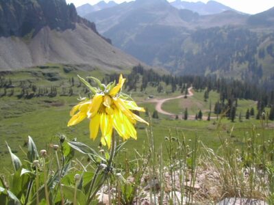 La Plata Hike