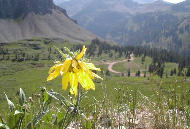 La Plata Canyon