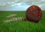 Cricket Ball & Bails