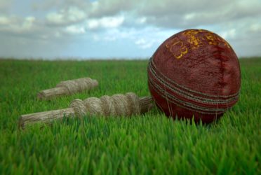 Cricket Ball & Bails