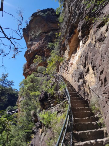 If you hike down it, you need to hike back up it. Some parts of the Blue Mountains hikes are not for the faint of heart
