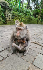 20231202-20231202_153318