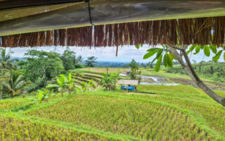 20231203-20231203_092503