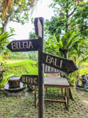 20231203-20231203_092533