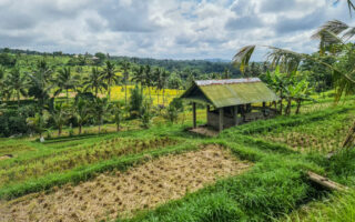 20231203-20231203_101055