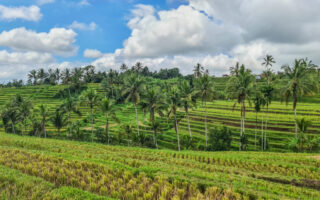 20231203-20231203_102543