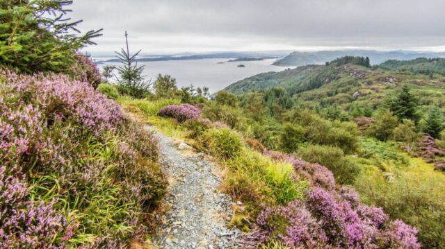 Hiking above the quaint village of Crinan, Scotland - looking for the ruins of Castle Dounie