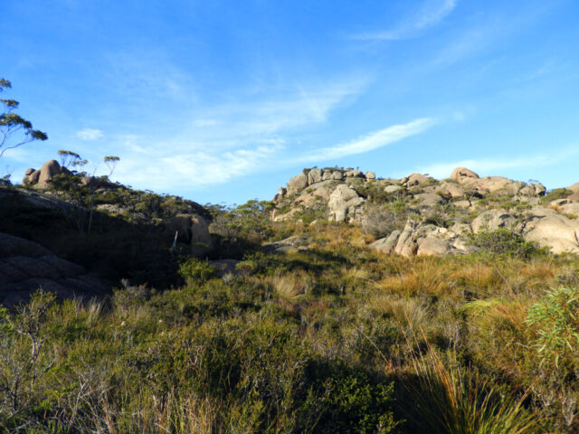 Mount Amos, Tasmania