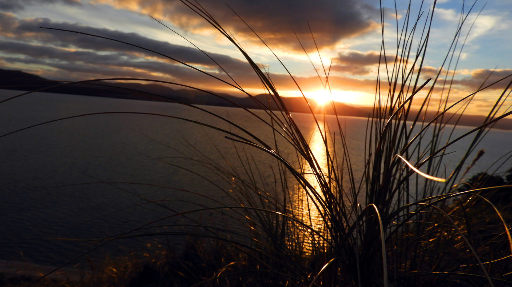 Bruny Island The Neck