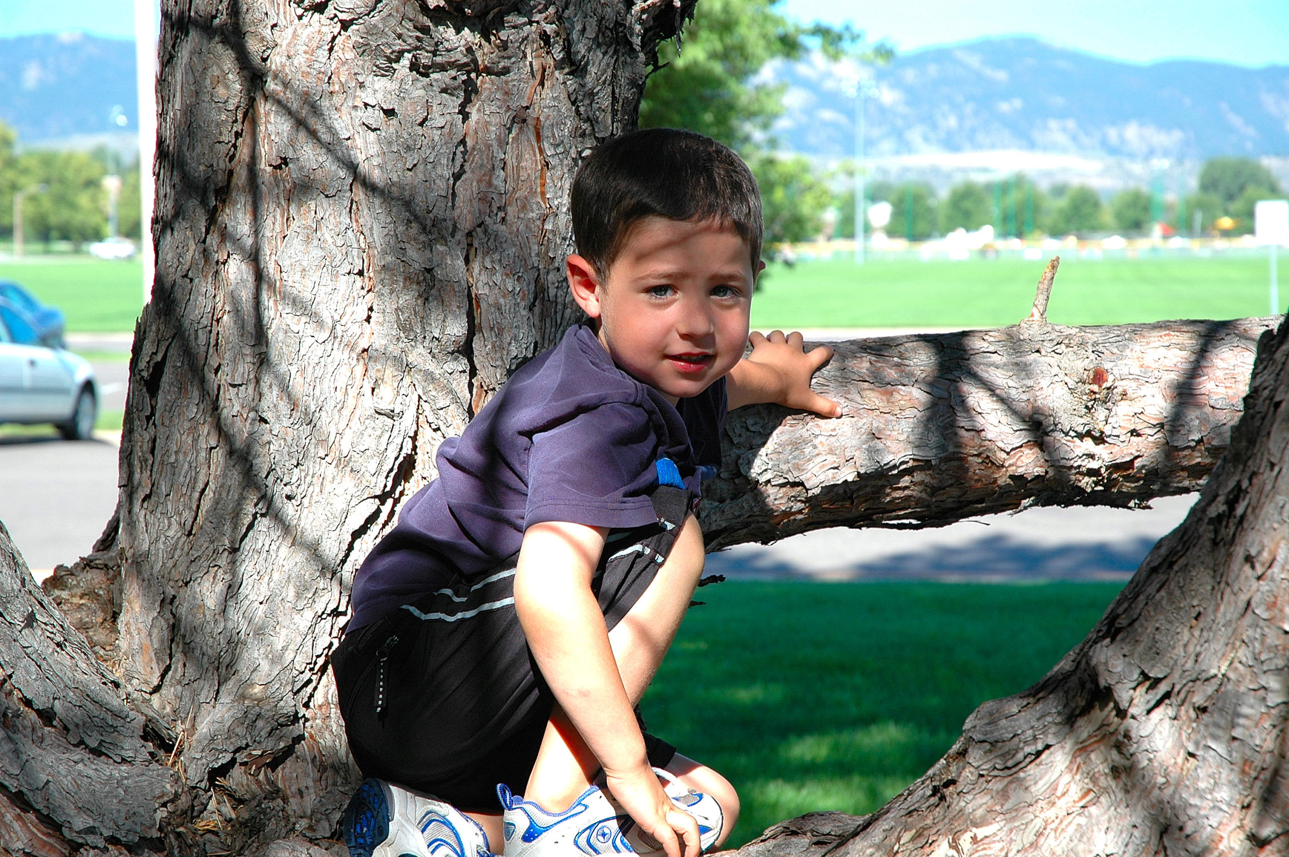 Nevan Doig watching dad from a tree at the cricket at CSU