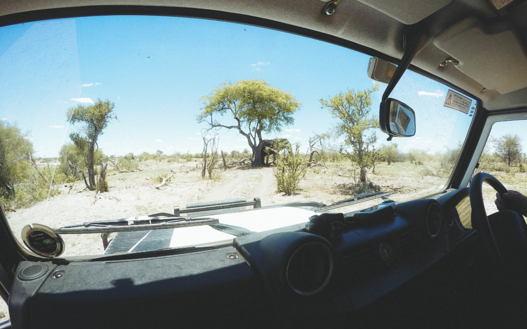 Touring Botswana