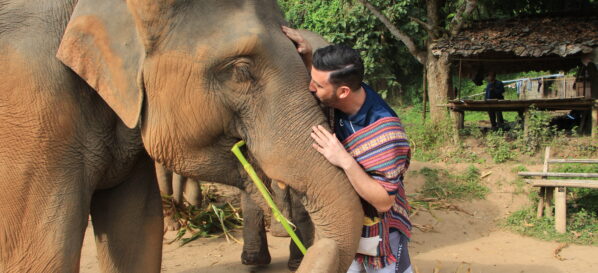 Ethical Elephant Encounters at Chiang Mai’s Jungle Sanctuary