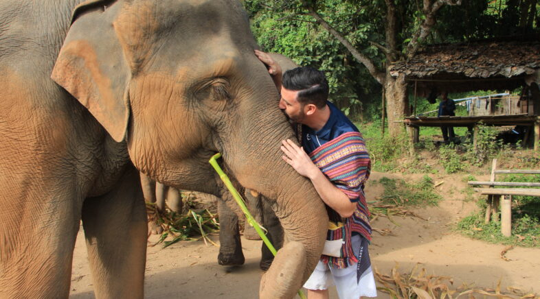 Elephant Jungle Sanctuary