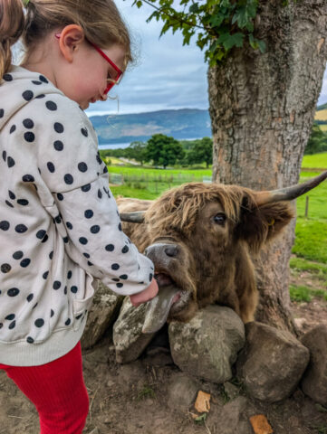 Drumbuie Farm B&B and Quila Cridhe Tearoom