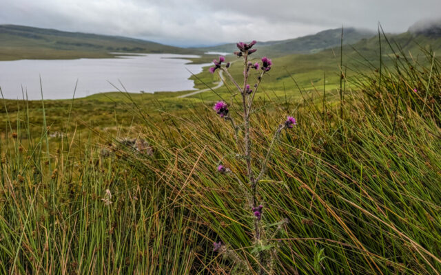 Old Man of Storr, Isle of Skye