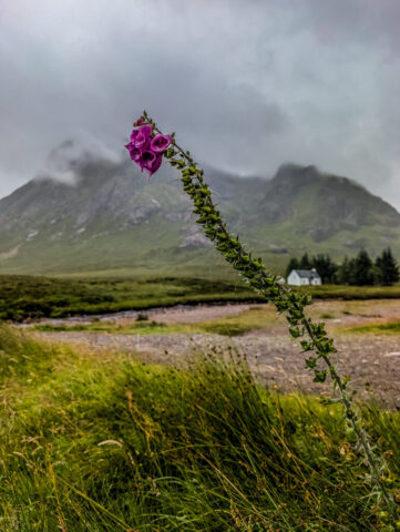 The Wee White House, Lagangarbh, Glen Coe, Scotland