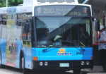 Townsville Sun Bus with Robert Hayes